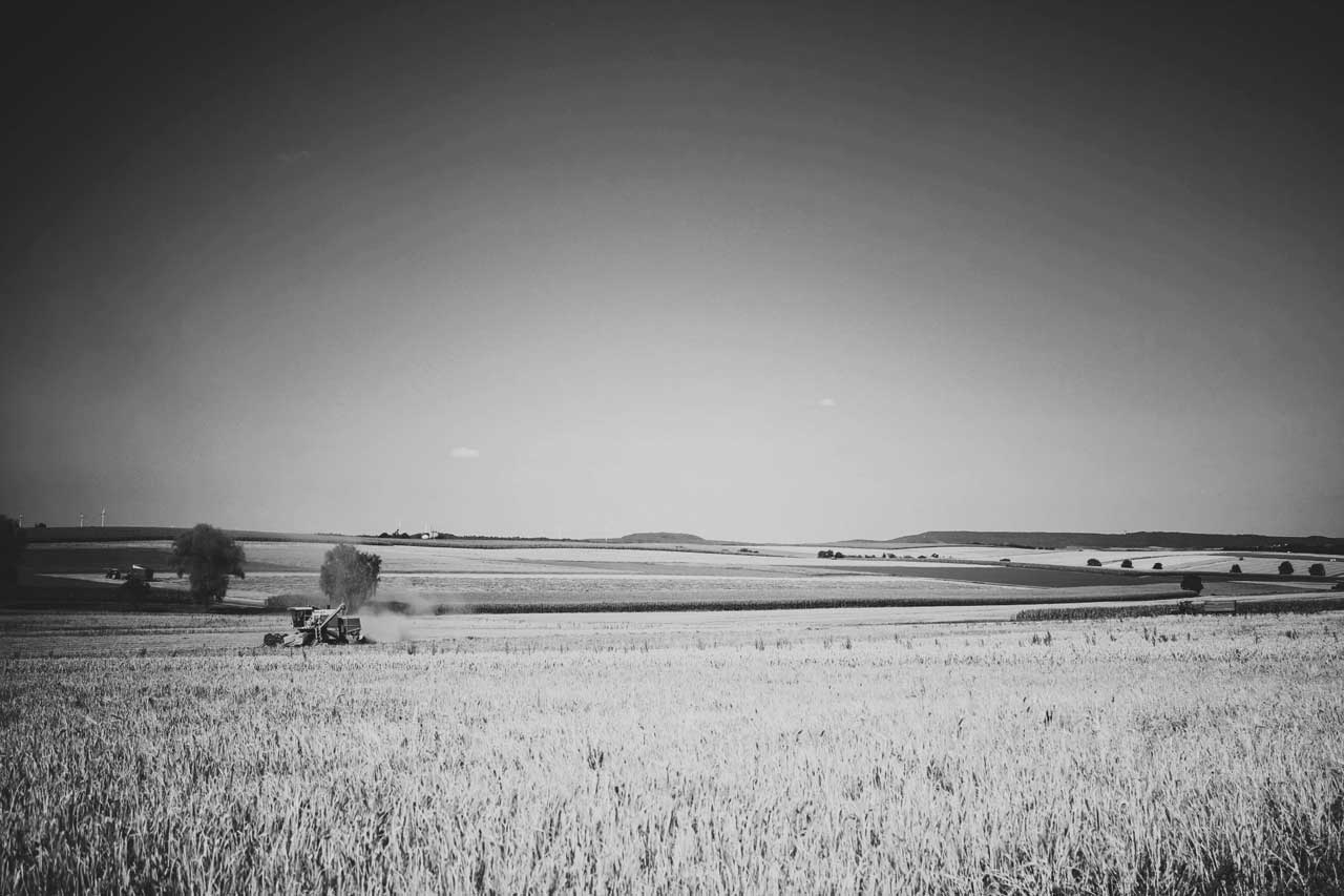 Farm