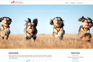 PetStore Home Page